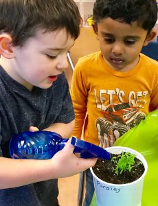 Young Boys with Plants