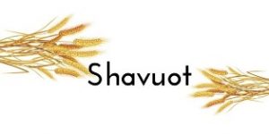 Shavuot wheat